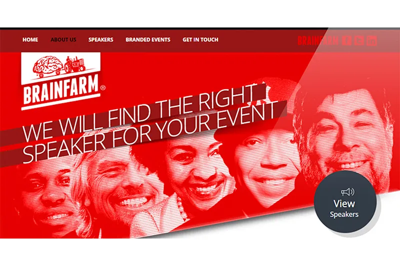 Brainfarm 2016