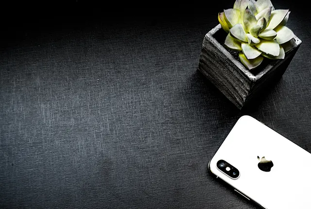 Why a mobile responsive site is important.